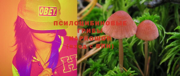 эйфоретик Инсар